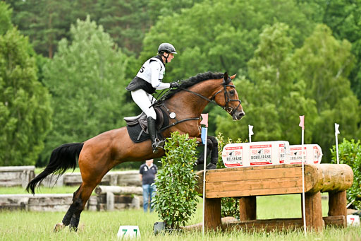  | 28062025 CCI3 S _195 