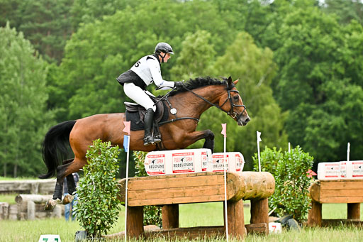  | 28062025 CCI3 S _196 