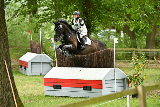  | 28062025 CCI3 S _208 