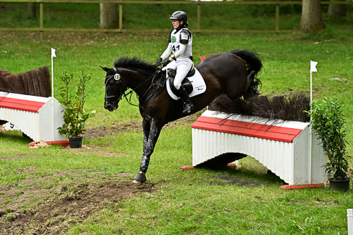  | 28062025 CCI3 S _210 