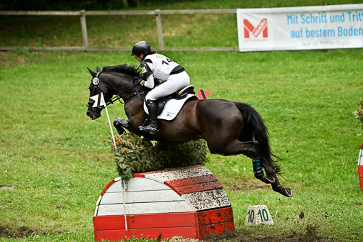  | 28062025 CCI3 S _212 