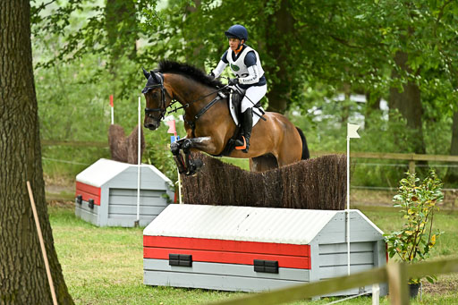  | 28062025 CCI3 S _213 