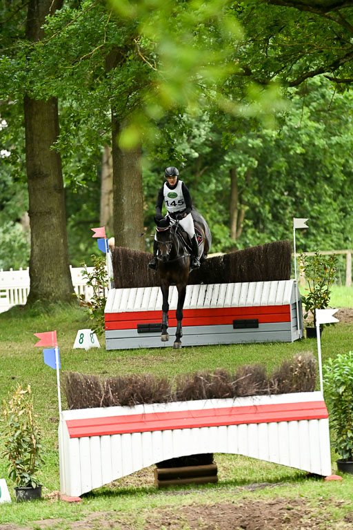  | 28062025 CCI3 S _219 