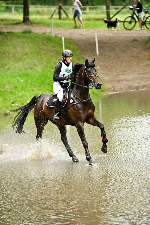  | 28062025 CCI3 S _226 