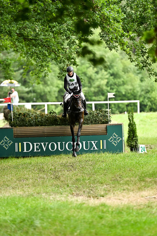  | 28062025 CCI3 S _230 