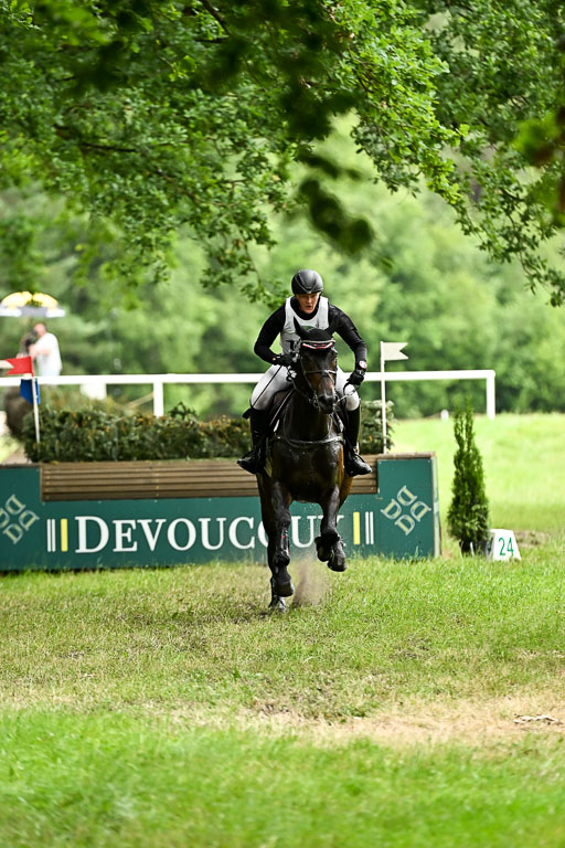  | 28062025 CCI3 S _231 