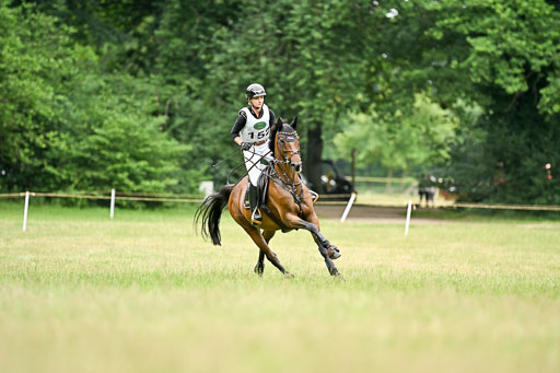  | 28062025 CCI3 S _244 