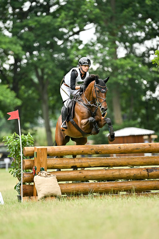  | 28062025 CCI3 S _245 