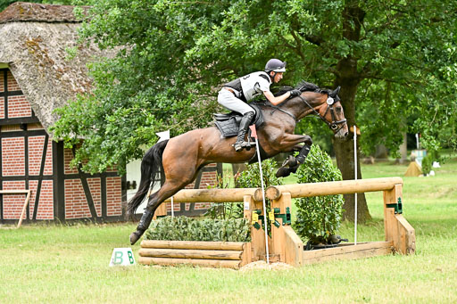  | 28062025 CCI3 S _252 