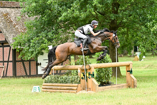  | 28062025 CCI3 S _253 