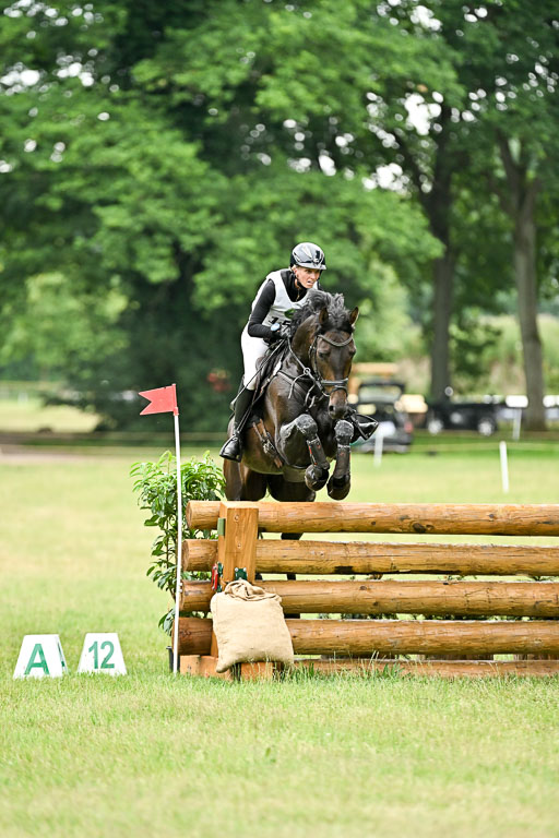  | 28062025 CCI3 S _256 