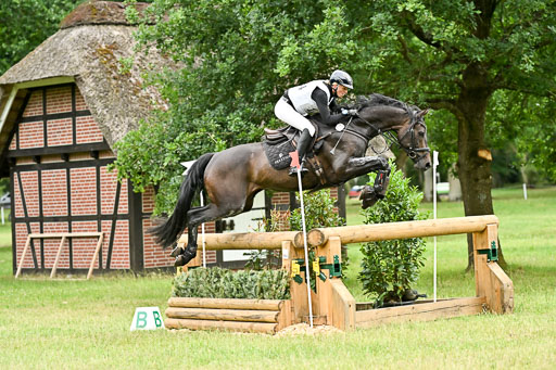  | 28062025 CCI3 S _260 