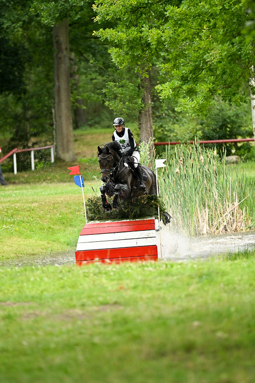  | 28062025 CCI3 S _263 