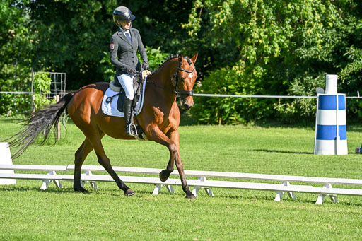  | 13062025 Dressur _0006 