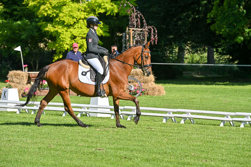  | 13062025 Dressur _0007 