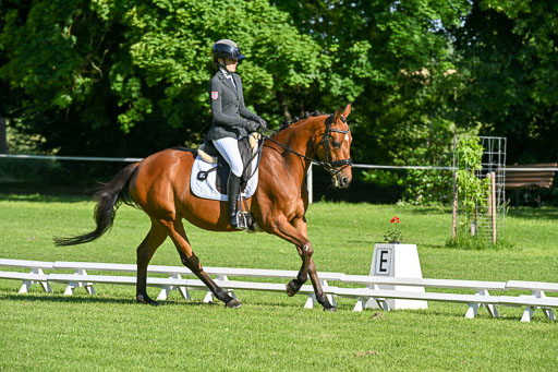  | 13062025 Dressur _0008 