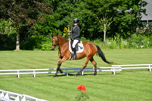  | 13062025 Dressur _0009 