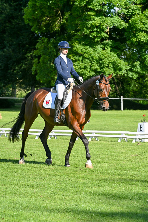  | 13062025 Dressur _0019 