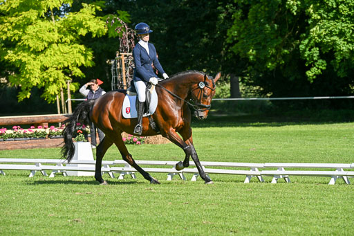  | 13062025 Dressur _0028 