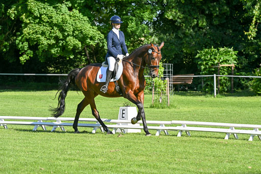  | 13062025 Dressur _0030 