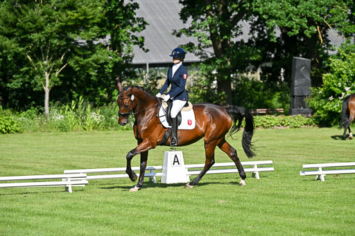  | 13062025 Dressur _0034 