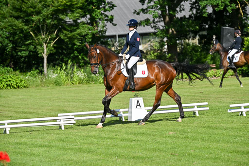  | 13062025 Dressur _0035 