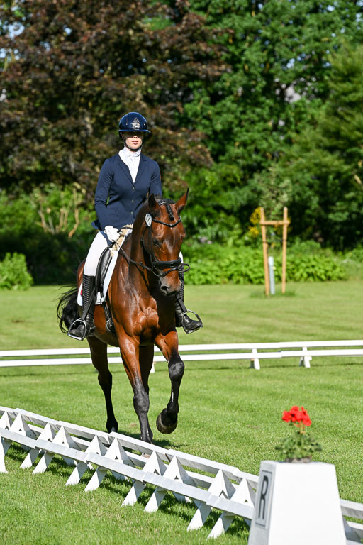  | 13062025 Dressur _0036 