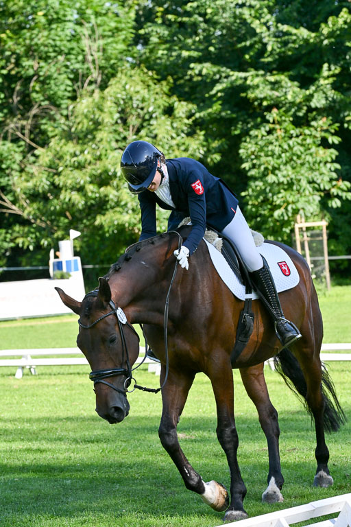  | 13062025 Dressur _0046 