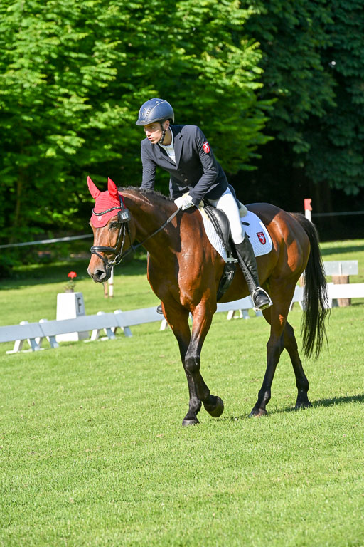  | 13062025 Dressur _0049 