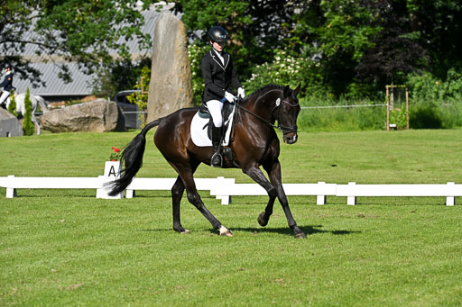  | 13062025 Dressur _0076 