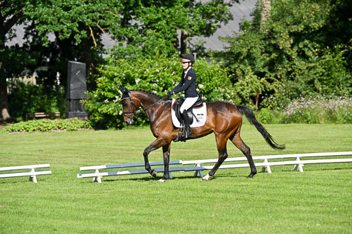  | 13062025 Dressur _0079 