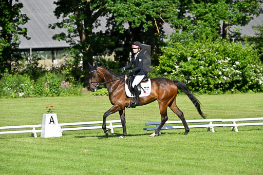  | 13062025 Dressur _0080 