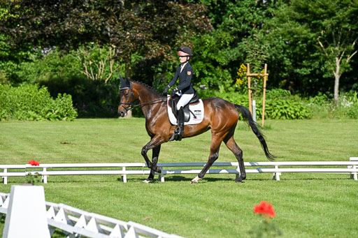  | 13062025 Dressur _0082 