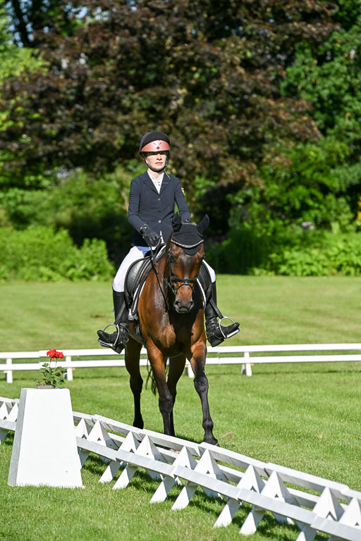  | 13062025 Dressur _0083 