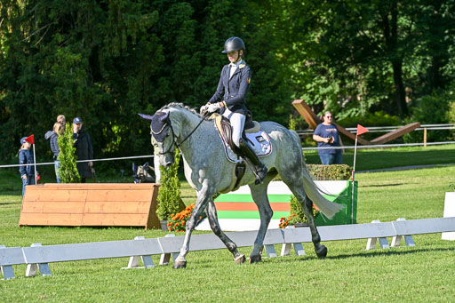  | 13062025 Dressur _0099 