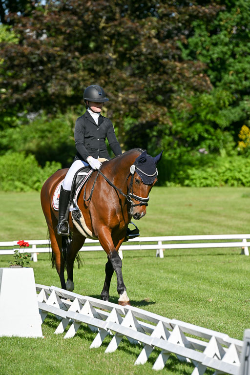  | 13062025 Dressur _0106 