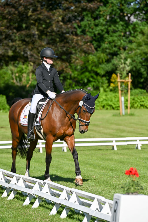  | 13062025 Dressur _0107 