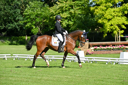  | 13062025 Dressur _0111 