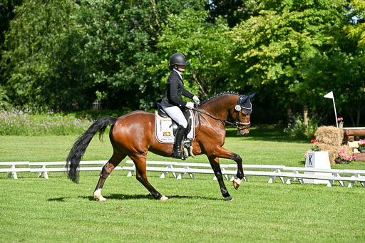  | 13062025 Dressur _0117 