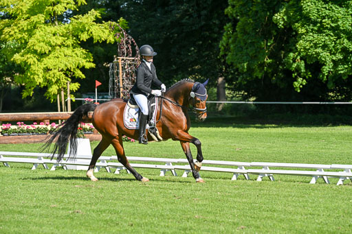  | 13062025 Dressur _0119 