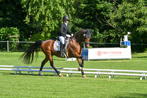  | 13062025 Dressur _0121 