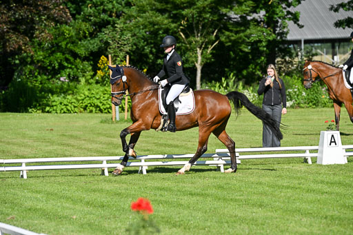  | 13062025 Dressur _0130 
