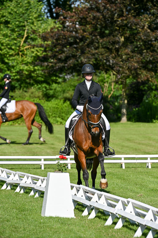  | 13062025 Dressur _0131 