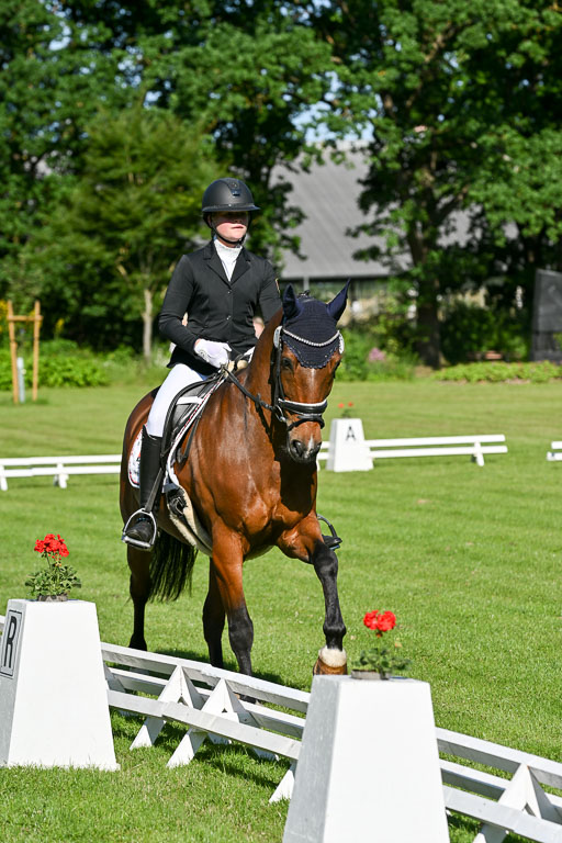  | 13062025 Dressur _0133 