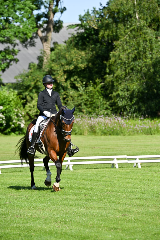  | 13062025 Dressur _0138 