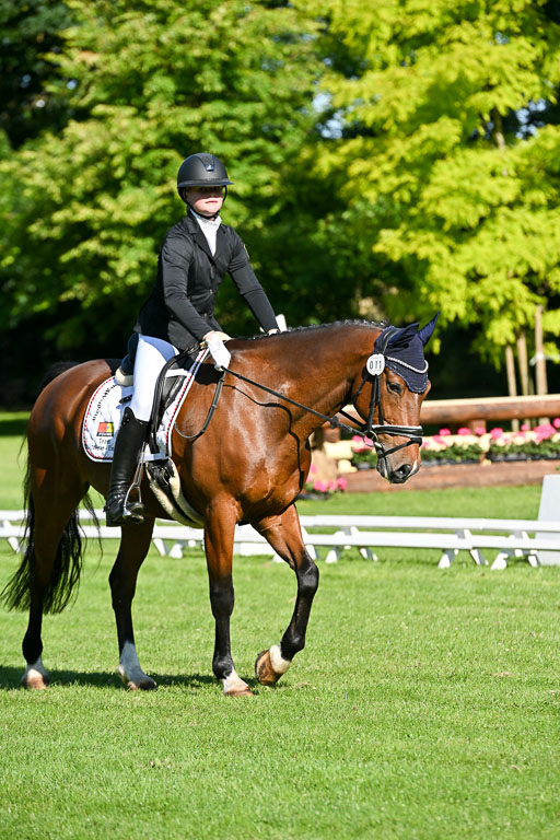  | 13062025 Dressur _0141 