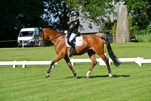  | 13062025 Dressur _0142 