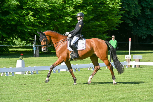  | 13062025 Dressur _0145 