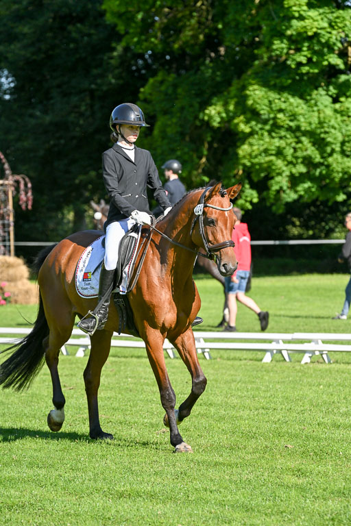  | 13062025 Dressur _0146 