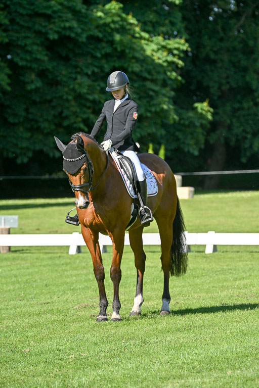  | 13062025 Dressur _0148 